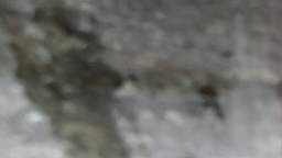 stcronans 2800.jpg